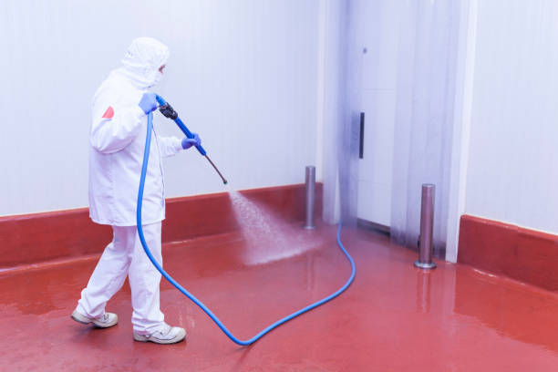 Best Graffiti Removal  in Jasper, FL